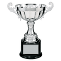 Silver 8 1/2" Completed Metal Cup Trophy on Plastic Base