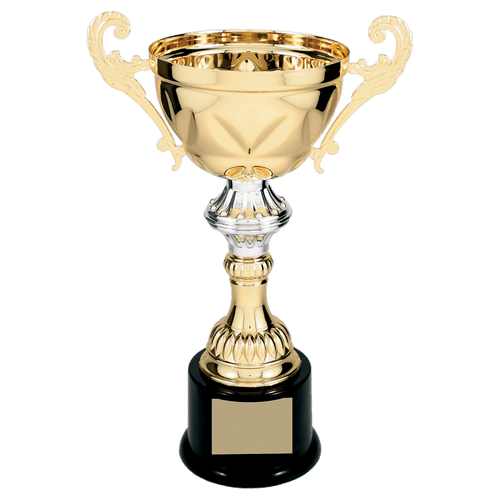 Gold 11 1/2" Completed Metal Cup Trophy on Plastic Base