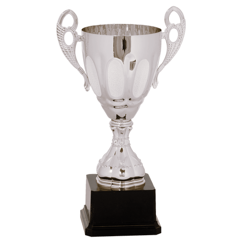 Silver 11" Completed Metal Cup Trophy on Plastic Base