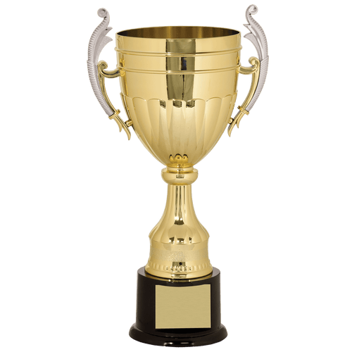 16 3/4" Gold/Silver Plastic Completed Cup Trophy