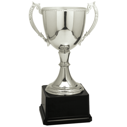 Silver 11" Completed Zinc Cup Trophy