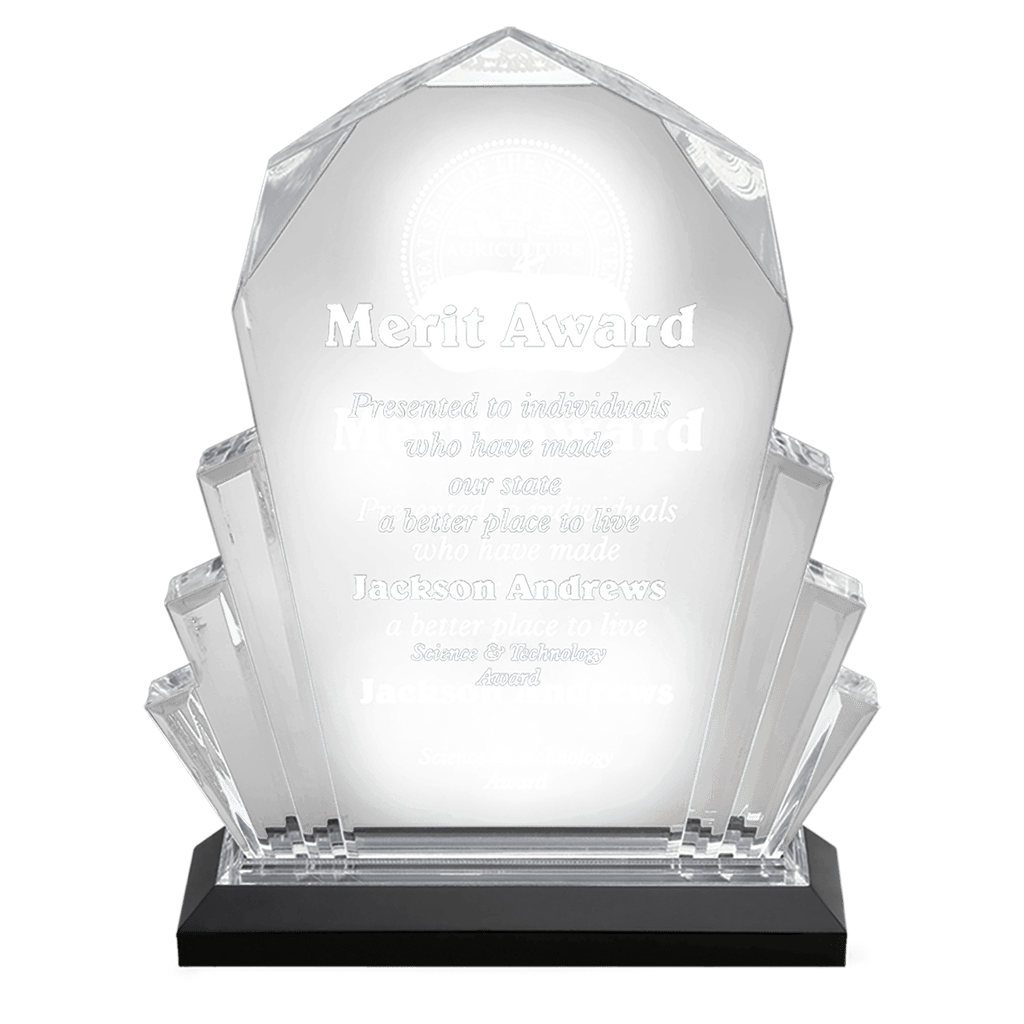 Silver 6" x 9" Faceted Impress Acrylic